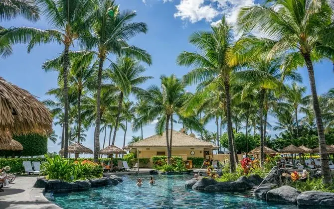Resort pool ringed by tall palm trees and thatched umbrellas under a bright blue sky